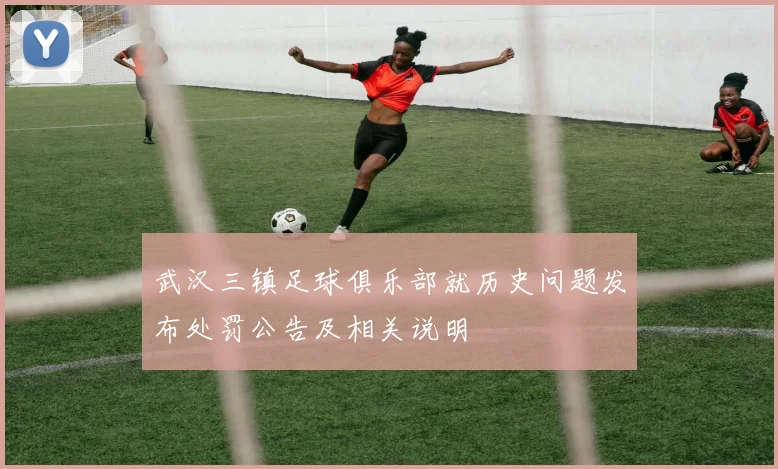 武汉三镇足球俱乐部就历史问题发布处罚公告及相关说明