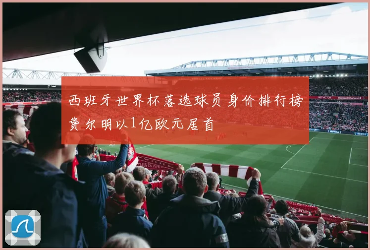 西班牙世界杯落选球员身价排行榜费尔明以1亿欧元居首